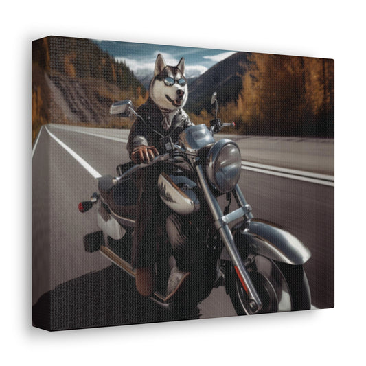 Siberian Husky Motorcycle | Gallery Canvas | Wall Art